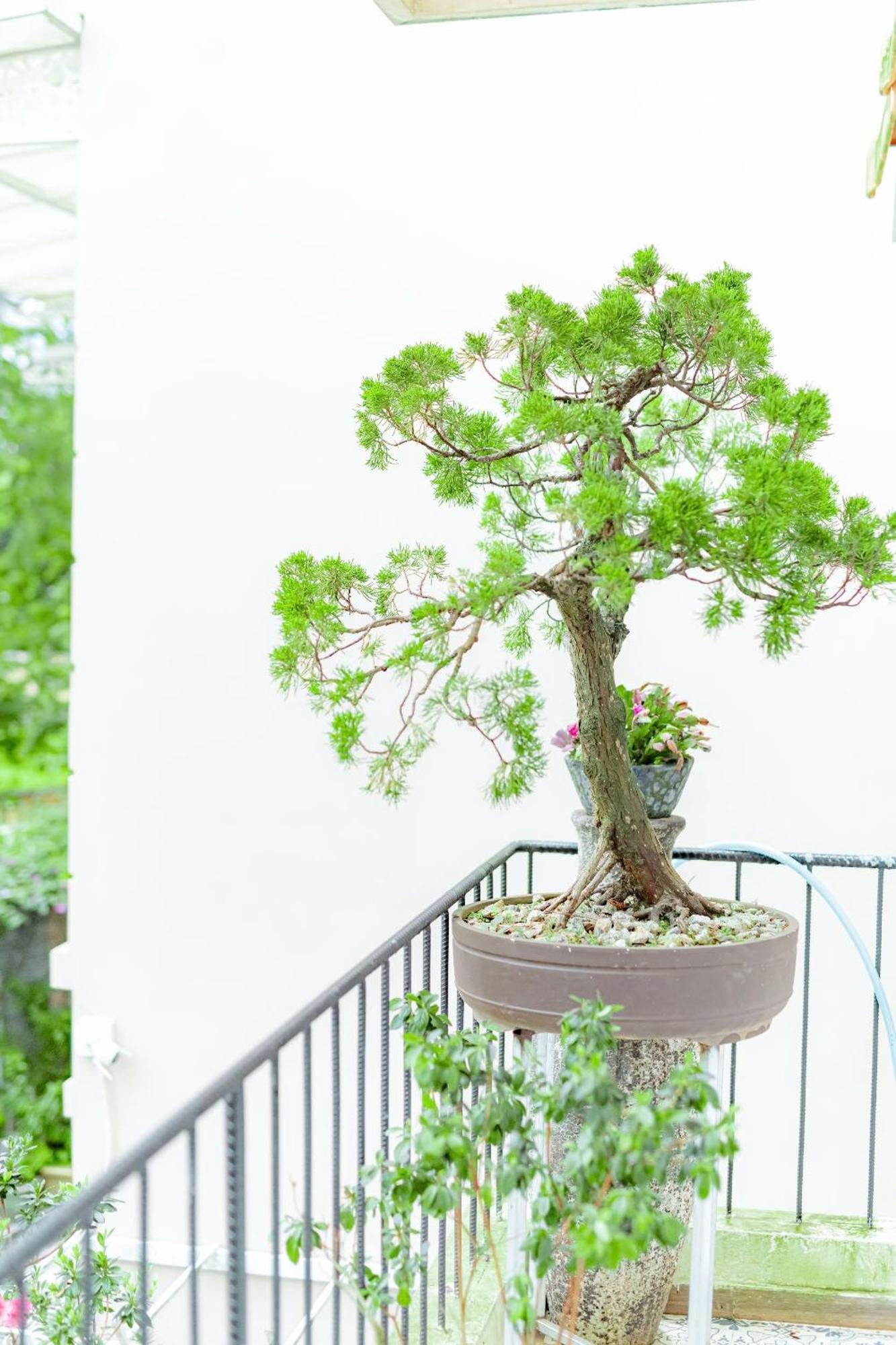 Villa Nho Xinh Khu Chi Lăng Esterno foto